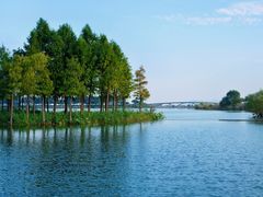 -贡湖湾湿地公园