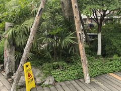-南山植物园