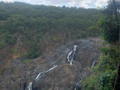 -热带雨林自然公园