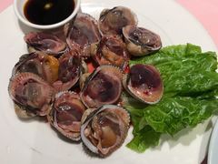 -高佳庄·舟山海鲜(海景旗舰店)