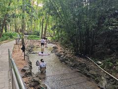 -火炉山森林公园