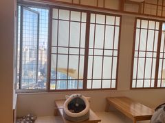 -Let's go狗咖·猫咖·奶狗·桌游(春熙路IFS店)
