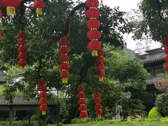 -中国茶叶博物馆(双峰馆区)