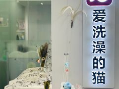 -爱洗澡的猫(望京店)