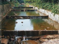 -广州白江湖森林公园