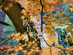 -黄公望隐居地