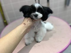 -FAELING PETS美天灵宠物(富力广场店)