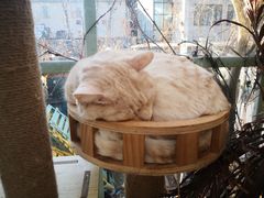 -小时光咖啡馆(北锣鼓巷店)