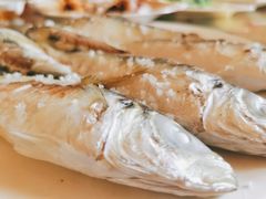 -陈岱后山窑鸡店