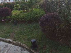 android_upload_pic-上海佘山国家森林公园西佘山园