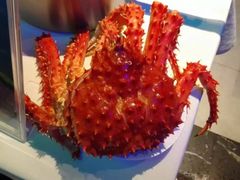 -甄品麦哲伦海鲜和牛自助(万达广场店)