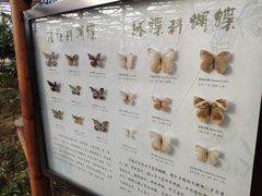 -南宫温泉水世界