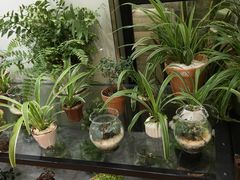 -813芭依珊 BAESAn(皇冠十畝地店)