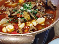-高嗲嗲·现炒下饭菜(石鼓路店)