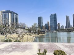 -后襄河公园