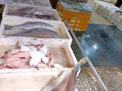 -芦潮港集贸市场