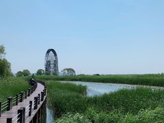 -苏州太湖湖滨国家湿地公园