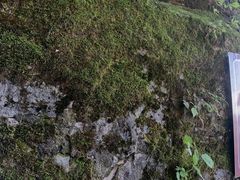 -终南山南五台景区