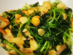 -南山鲜虾面·活鲜小馆·海味大连菜(南山总店)