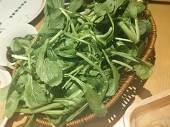 -老凯俚酸汤鱼(多彩城店)