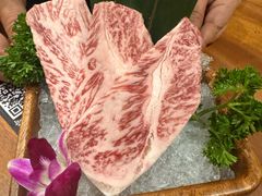 -极炙牛道·禾牛道(格力广场店)