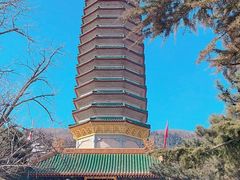 -八大处公园