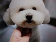 -宠物家(双井店)