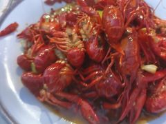 -杨氏青龙虾·羊蝎子(托乐嘉店)