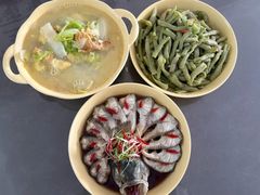 -田螺阿姨自营月嫂·育儿嫂(高新店)