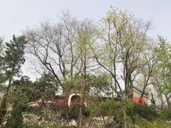 -郭守敬纪念馆
