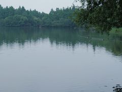 -茅家埠