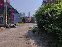 -老窦肥肠板面