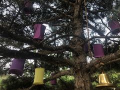 -云峰山自然风景区