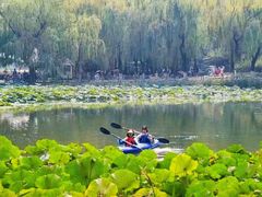 -WhaleSports户外水上运动俱乐部(朝阳公园店)