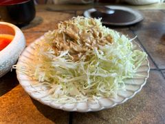 -山杏yama-katsu·吉列炸物