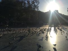 -加泰罗尼亚广场