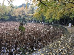 -四川大学(华西校区)