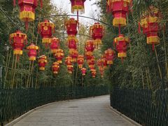 -红螺寺