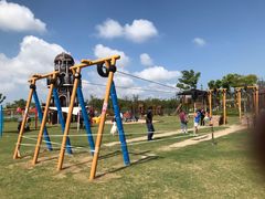 -上海长兴岛郊野公园