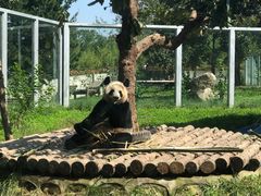 -西安秦岭野生动物园