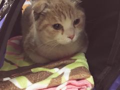 -惠康宠物医院(华能路店)