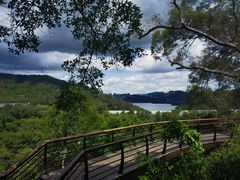 -深圳仙湖植物园