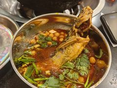 鲜活黄辣丁-鸿顺老铁锅美蛙鱼府(解放碑店)