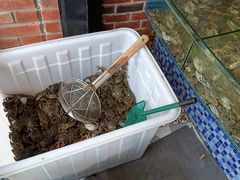 -蟹谢蒸鲜自助餐厅