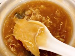 招牌花胶大只翅-添發碗仔翅美食