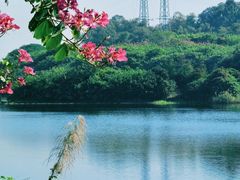 -广东花都湖国家湿地公园