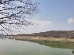 -羊山湖公园