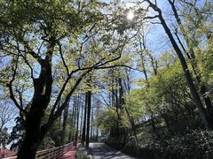 -莫干山风景区