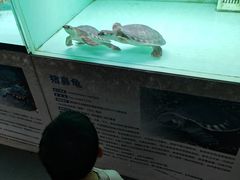 -太原动物园