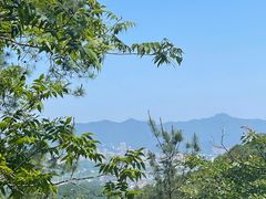 -大奇山国家森林公园